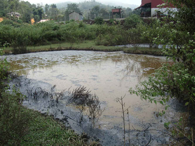 Ao của các hộ dân thành nơi chứa nước thải