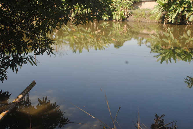 Ao gần đường thôn Trại Mới do nước than chảy xuống người dân bỏ không vì ô nhiễm