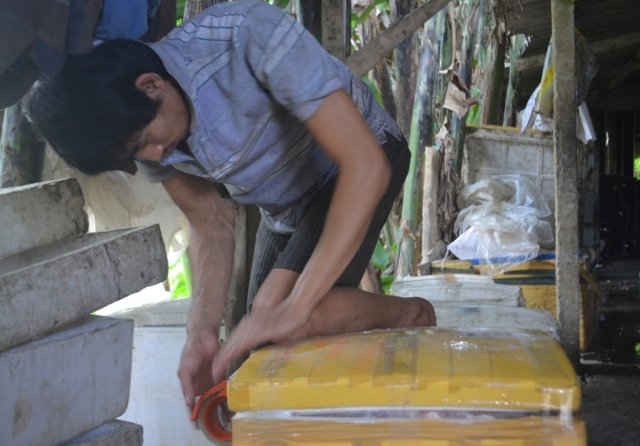 Đóng mỡ tươi trong thùng xốp để đưa vào TP. Hồ Chí Minh tiêu thụ