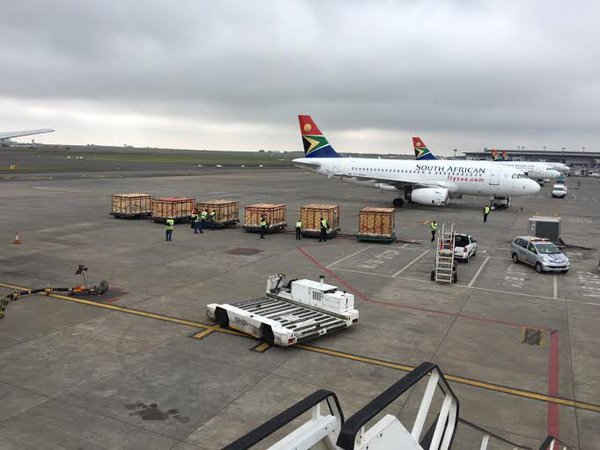 Các thùng chở thú chuyên dụng đang được đưa lên chuyến chuyên cơ thứ 7 - xuất phát từ Nam Phi lúc 15h ngày 16/12