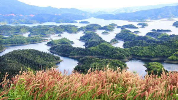 Lòng hồ hình thành 47 hòn đảo lớn nhỏ, thuận lợi cho phát triển du lịch sinh thái trong khu bảo tồn và vùng đệm.