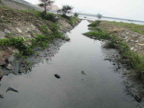 Nước thải từ bãi than xã ra biển
