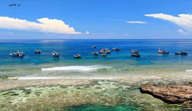 Vùng biển quanh đảo Lý Sơn sở hữu hệ sinh thái đa dạng va phong phú