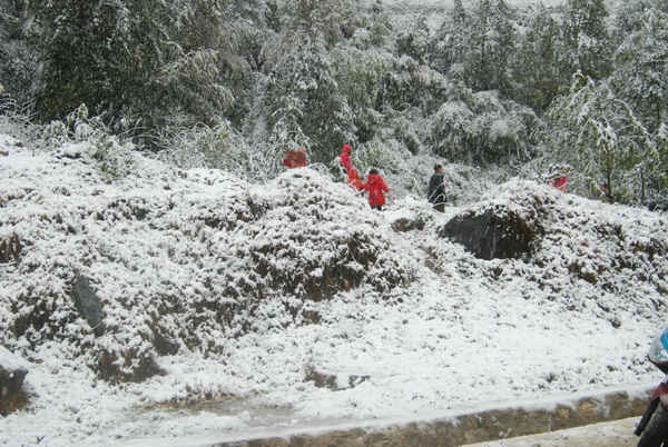 Hình ảnh mưa tuyết xuất hiện ở vùng cao Sa Pa (tỉnh Lào Cai)  trung tuần tháng 12 năm 2013.