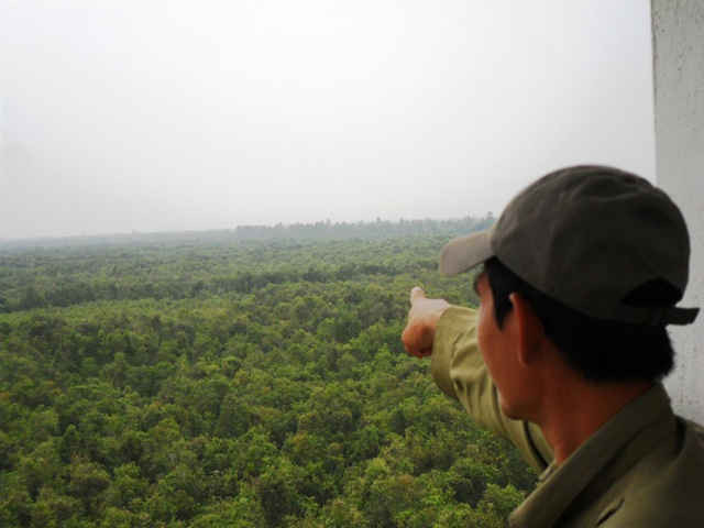 Một góc khu bảo tồn thiên nhiên Lung Ngọc Hoàng- nơi có diện tích rừng lớn nhất của tỉnh Hậu Giang