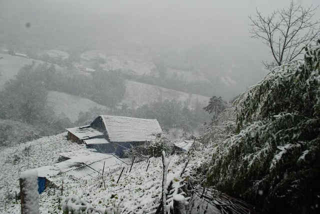 Tuyết rơi tại Sapa 