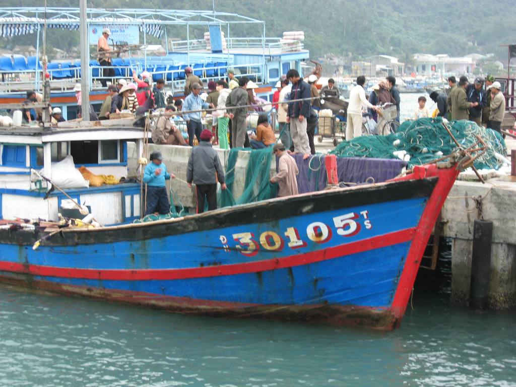 Trúng đậm chuyến biển cuối năm, cảng Thuận Phước (Đà Nẵng) nhộn nhịp, tưng bừng