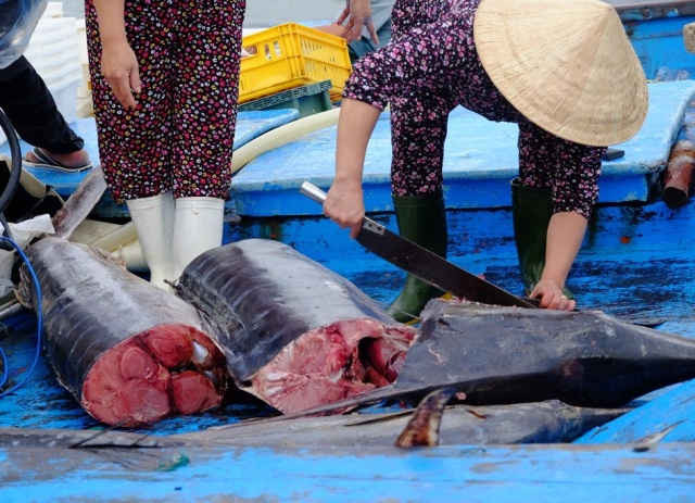 Xẻ thịt cá ngừ đem bán trong dịp Tết