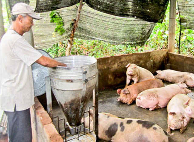 Nhiều chăn nuôi nhỏ lẻ ở BR-VT cũng đã xây dựng công trình biogas để bảo đảm vệ sinh môi trường và tận dụng khí đốt góp phần giảm hiệu ứng khí nhà kính
