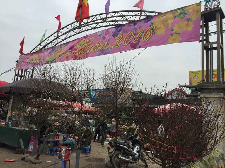 Chợ hoa Quảng An chào xuân