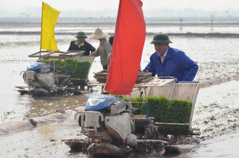 Chủ tịch UBND Thành phố Nguyễn Đức Chung xuống đồng cùng bà con nông dân thôn Phong Triệu, xã Nam Triều, huyện Phú Xuyên (Hà Nội) đi cấy, khai mở vụ xuân. 