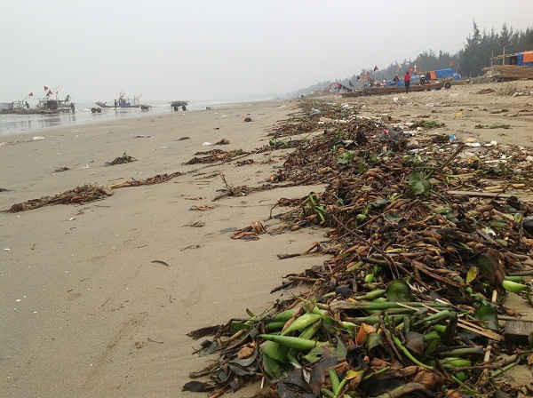 Đủ mọi rác thải tại bờ biển Hoằng Trường