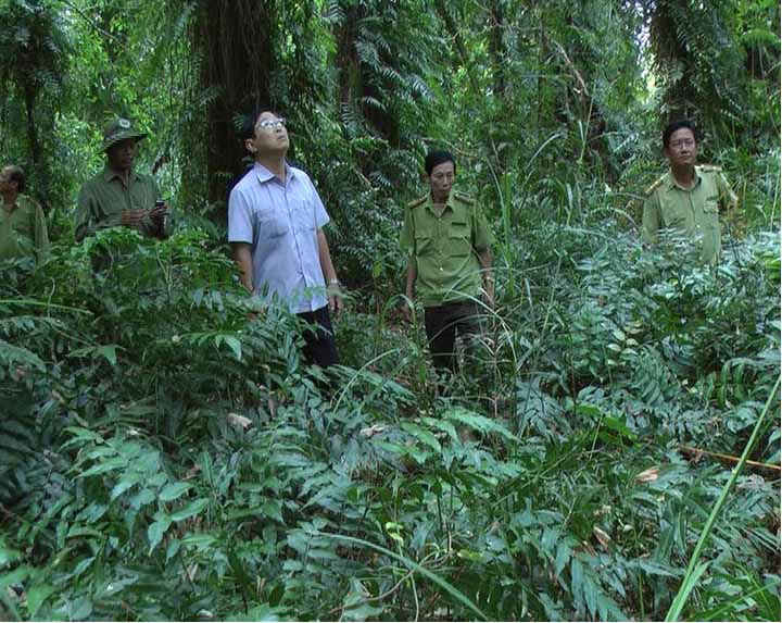 Lãnh đạo ngành NN&PTNT tỉnh Cà Mau kiểm tra tình trạng khô hạn trong rừng 