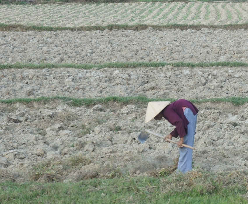 Nông dân tại các tỉnh miền Trung đang đứng ngồi không yên trước tình trạng khô hạn, thiếu nước sản xuất xảy ra trên diện rộng