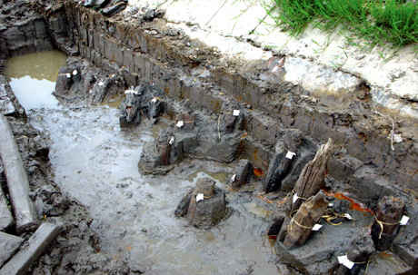 Dấu tích bãi cọc trận chiến Bạch Đằng năm 1288 tại hố khai quật di tích bãi cọc Đồng Má Ngựa, thuộc làng Hưng Học, phường Nam Hòa (Quảng Yên)