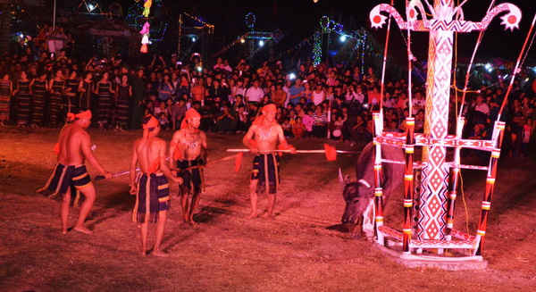 Lễ hội Văn hóa truyền thống các dân tộc Buôn Đôn năm 2016 sẽ không có nghi thức đâm trâu