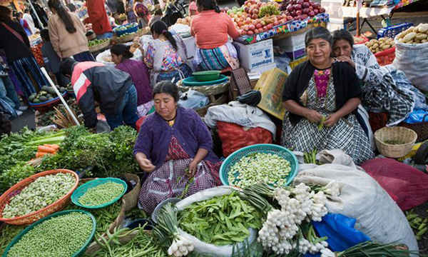 Những người bán rau tại chợ ở Guatemala. Theo nghiên cứu, trái cây và rau quả có sẵn ngày càng ít hơn như là một kết quả của BĐKH. Ảnh: Alamy