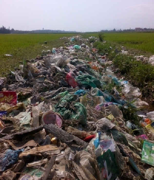 Rác thải tràn xuống ruộng gây ô nhiễm và làm hư hại lúa của người dân Quảng Phúc