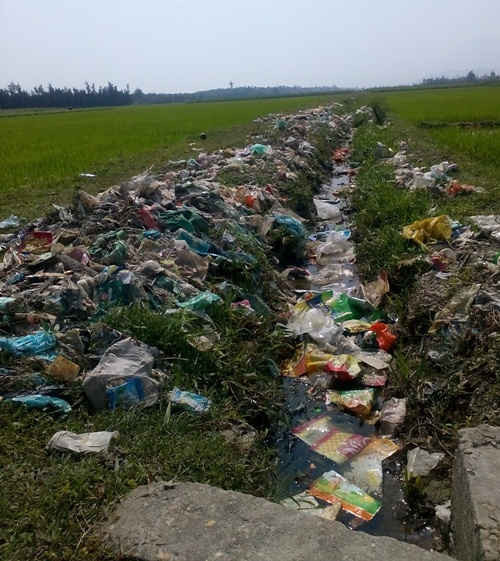 Ruộng lúa biến thành bãi tập kết rác thải ô nhiễm 