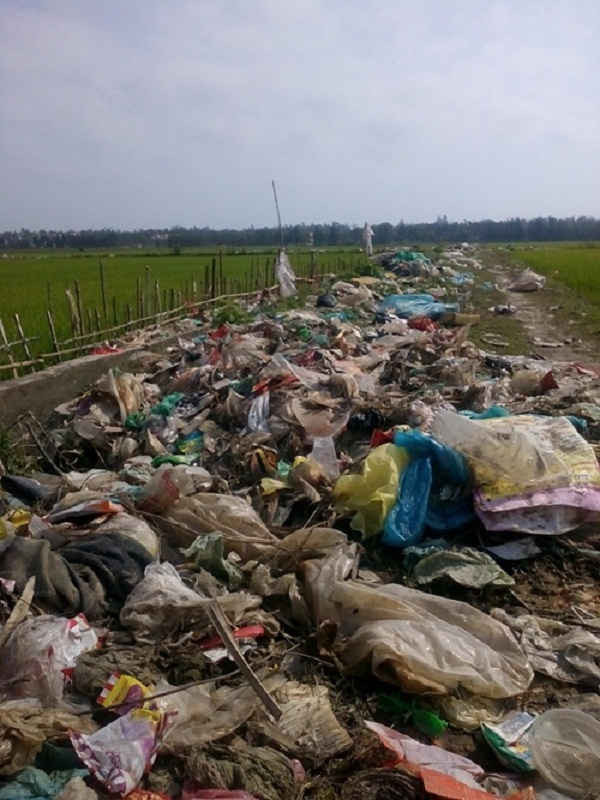 Nhiều hộ dân đã làm rào ngăn rác xuống ruộng