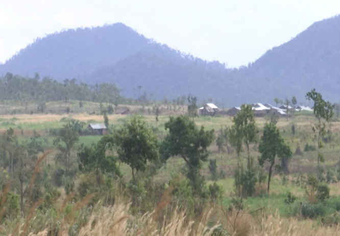 Nhiều diện tích rừng tại Đắk Lắk bị lấn chiếm, chặt phá