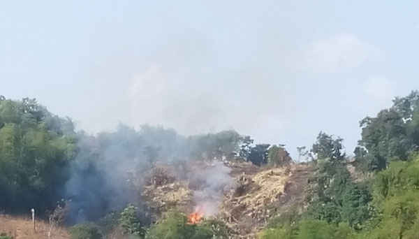 Khu vực rừng đang bị cháy của Khu bảo tồn thiên nhiên Hoàng Liên (Văn Bàn).    Ảnh : Báo Lào Cai 