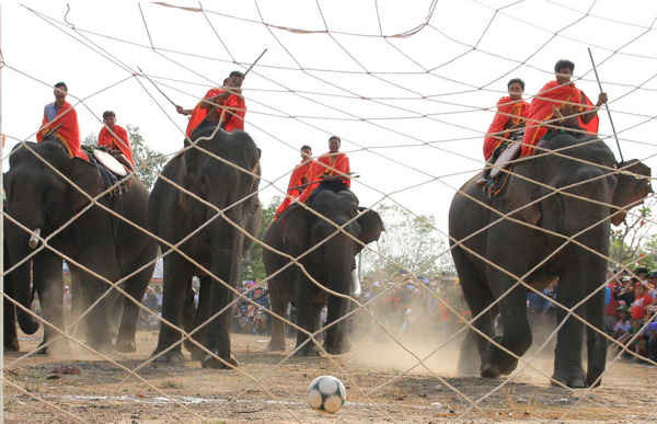 Một pha ghi bàn của voi trong trận đấu