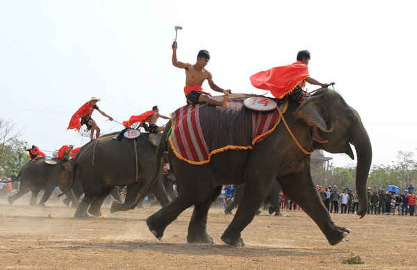 Lễ đua voi diễn ra sôi nổi với sự tham gia cổ vũ của hàng ngàn du khách trong và ngoài tỉnh