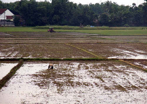 Nhiều nông dân sản xuất ở xa kênh phải chắt chiu nước để đảm bảo tiến độ sản xuất.