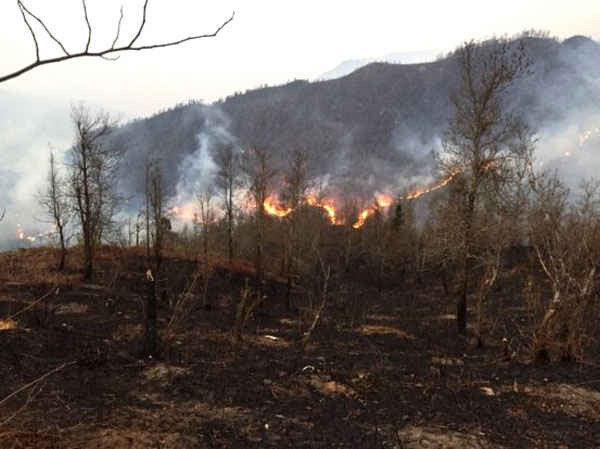 Vụ cháy rừng phòng hộ ở xã Trung Chải, huyện Sa Pa (tỉnh Lào Cai) ngày 17/3 làm thiệt hại 35 héc ta rừng, trong đó có 9,5 héc ta rừng trồng, còn lại là rừng nghèo kiệt nhiều cỏ lau, bụi nhỏ. Ảnh: Báo Lào Cai