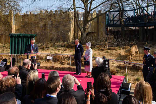Nữ hoàng Anh Elizabeth II và người chồng của bà, Hoàng tử Philip, Công tước xứ Edinburgh dự lễ khai trương triển lãm vườn thú London Land Of The Lions, nơi tạo ra 1 trung tâm chăm sóc sư tử châu Á đang bị đe dọa. Ảnh: Leon Neal / AFP / Getty Images