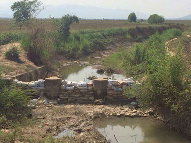 Nhiều kênh mương ở huyện Hàm Thuận Bắc không còn nước để phục vụ sản xuất