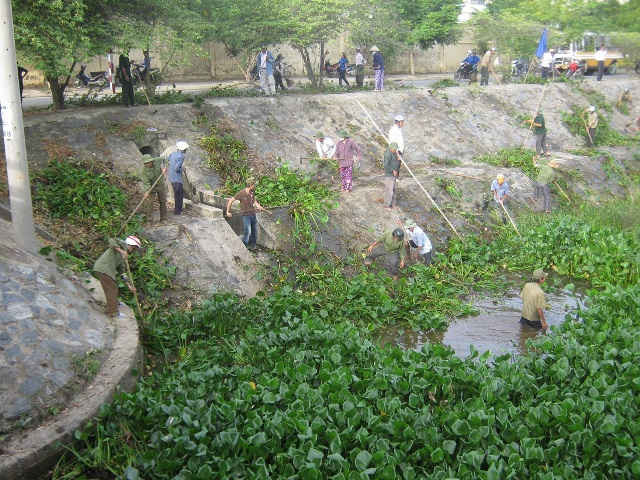 Hưởng ứng ngày “Nước và việc làm” năm 2016, người dân TP. Đà Nẵng ra quân dọn vệ sinh môi trường, bảo vệ nguồn nước ở các hệ thống ao, hồ