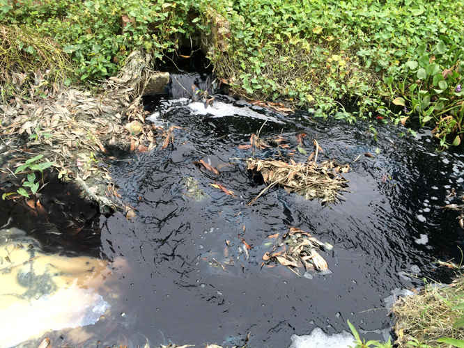 2.	Nước thải từ Công ty giặt HOPEX, thị trấn Lai Cách, huyện Cẩm Giàng có màu đen đặc, mùi hôi thối nồng nặc