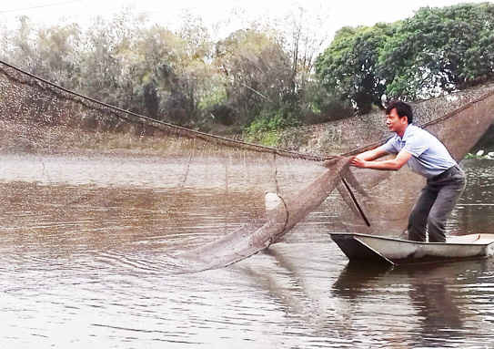 Sông Cửu An ô nhiễm đã khiến nhiều loài cá không thể  sống sót