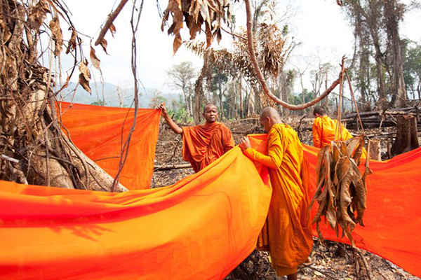 Những nhà sư Phật giáo Campuchia và người dân địa phương ban phước cho một trong những cây lớn còn lại trong khu vực bị phá hủy để nhường chỗ cho vườn chuối. Mặc dù đến quá muộn để ngăn chặn sự phá hủy hoàn toàn, họ vẫn quấn một miếng vải màu cam xung quanh các cây còn lại và cầu nguyện sẽ ngăn chặn được nạn khai thác gỗ trong tương lai. Sau nạn phá rừng bừa bãi ở Trung tâm Rừng Bảo tồn Cardamon ở Tây Nam Campuchia, một phong trào tu sĩ chiến binh sinh thái bắt đầu nổi dậy để bảo vệ các khu rừng gặp nguy hiểm. Ảnh: Luke Duggleby