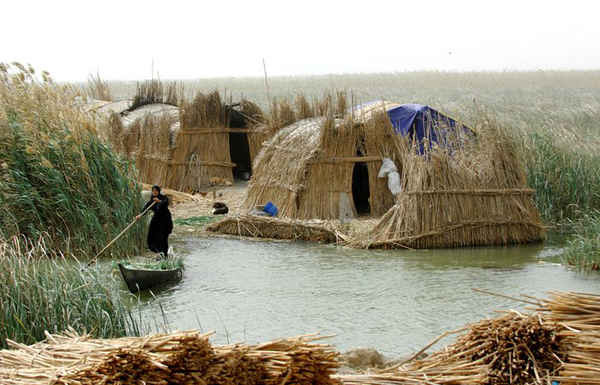Con người đã trở về cuộc sống truyền thống của họ sau khi họ buộc phải sơ tán các đầm lầy khi chúng cạn nước vào đầu những năm 90, thời tổng thống Iraq Saddam Hussein. Ảnh: Esme Allen