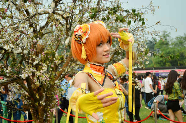 Lễ hội hoa anh đào mỗi năm chỉ có 1 lần, năm nay là năm thứ 10 được tổ chức tại Hà Nội