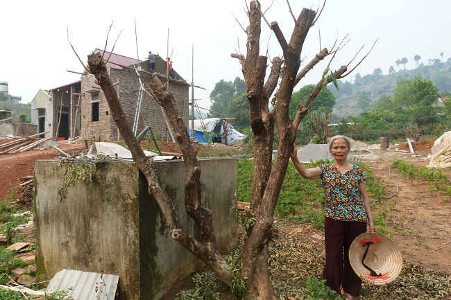 Bà Trần Thị Đào dù tuổi cao, nhưng vẫn ngày ngày phải sống chung với khí thải lò gạch.