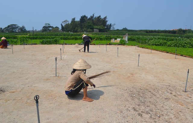 Bà con nông dân huyện đảo Lý Sơn rất lo lắng, đang làm ruộng chuẩn bị xuống giống cho mùa tỏi sắp tới