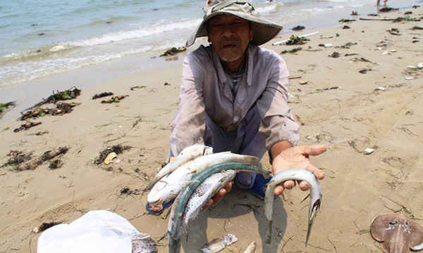 Một người dân phơi nhiều con cá chết trên tay tại một bãi biển ở huyện Phú Lộc, tỉnh Thừa Thiên Huế. Ảnh: STR / AFP / Getty Images