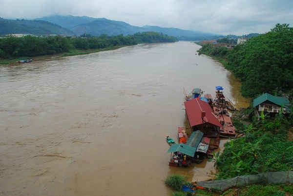 Lũ sông Hồng đang đổ về thành phố Lào Cai làm ngập một số diện tích rau màu.  
