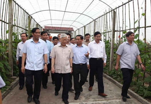 Tổng Bí thư Nguyễn Phú Trọng thăm dự án trồng rau, củ, quả công nghệ cao trên cát hoang hóa tại xã Thạch Văn. 