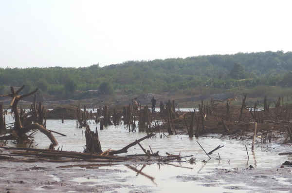 Hồ Tà Tê, hồ chứa nước ngọt lớn nhất huyện Lộc Ninh (Bình Phước) bị cạn trơ đáy.
