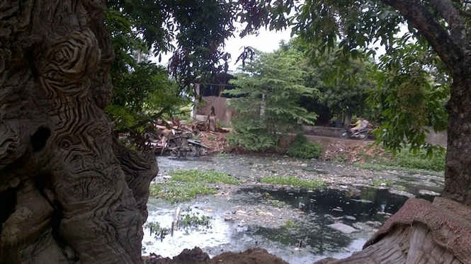 2.	Ao hồ xã Thái Thịnh ô nhiễm do nước thải sinh hoạt và chăn nuôi của người dân xả ra