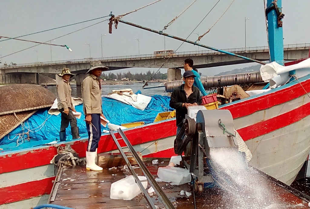 Những ngày qua, tại các cầu cảng của Âu thuyền Thọ Quang (Đà Nẵng), khá nhiều tàu của ngư dân các tỉnh từ Đà Nẵng đến Bình Định ghé vào các nhà máy để bốc đá