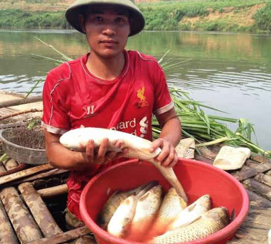 Cá lồng bè của một hộ dân ở xã Thành Mỹ, huyện Thạch Thành, tỉnh Thanh Hóa chết trắng lồng sau khi nguồn nước ô nhiễm đi qua