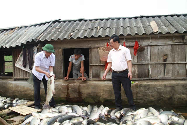 Ông Nguyễn Đức Quyền, Phó Chủ tịch Thường trực UBND tỉnh Thanh Hóa kiểm tra tình hình cá lồng nuôi trên sông Bưởi tại xã Thành Vinh (huyện Thạch Thành). 
