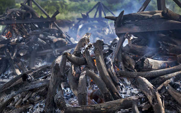 Lửa đốt hơn 100 tấn ngà voi vẫn còn âm ỉ. Đây là số lượng ngà voi được đốt cháy trong công viên quốc gia Nairobi sau khi Kenya thiêu hủy số lượng ngà voi dự trữ lớn nhất châu Phi vào ngày 30/4. Tuy nhiên, một số người lo ngại rằng động thái này có thể khiến nạn săn trộm phát triển hơn nữa. Ảnh: Ben Curtis / AP