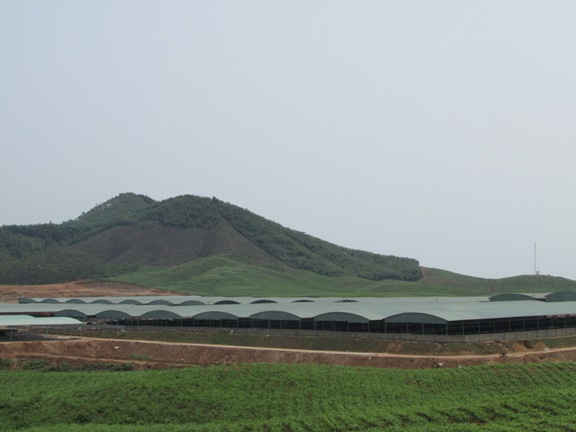 Khu vực trang trại chăn nuôi bò của Công ty CP chăn nuôi Bình Hà